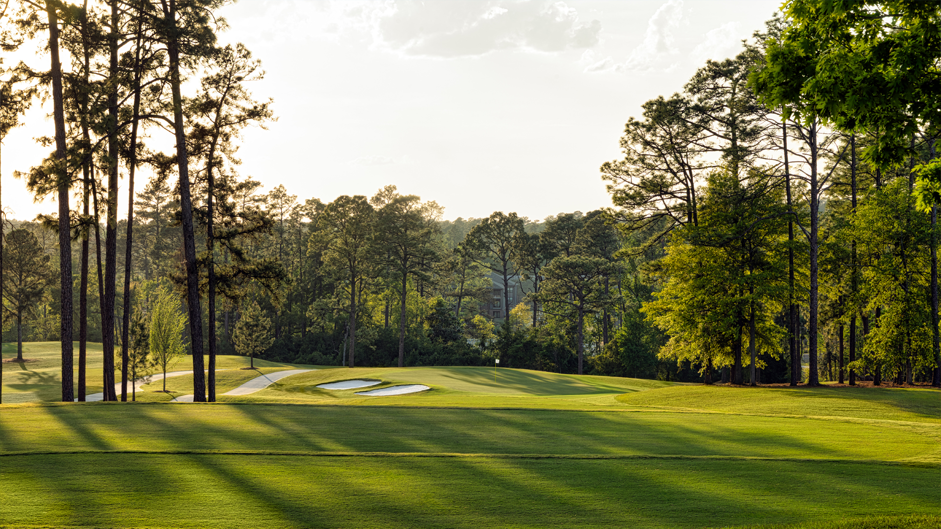 Aside from greens and native areas, all surfaces on both The Patch and The Loop were sodded with Tahoma 31 bermuda (Photo: Augusta Municipal Golf Course)