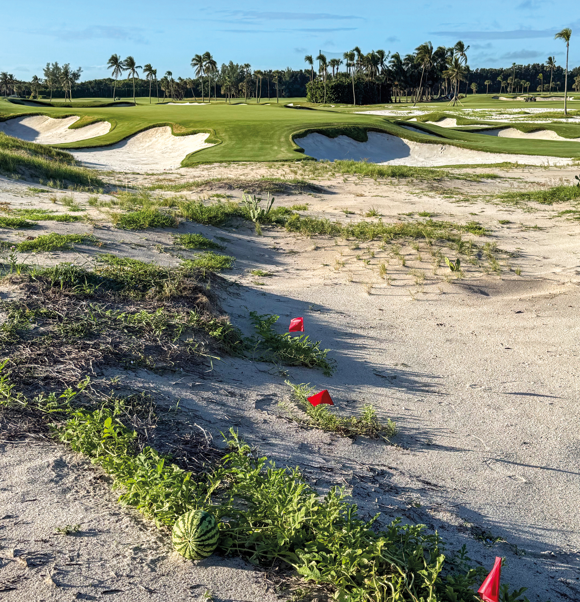As a nod towards Seminole’s agricultural role in World War Two, the project included a modest planting of watermelons (Photo: Autumn Hartshorne)