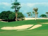 Els brings in 2009 with O'ahu opening