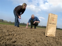 First sowings at Cropvale