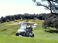 New cart fleet for Madrid club