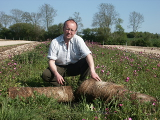 Turf creates wild flower meadows