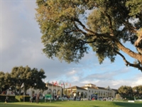 'New Valderrama' to start soon?