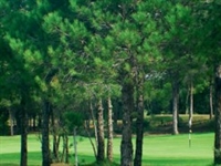 Faldo talks Turkey at Cornelia