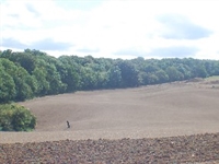 Bang for the buck at Clandon
