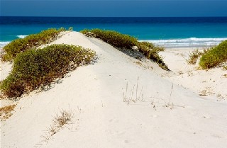 Gulf’s first seaside course finished  