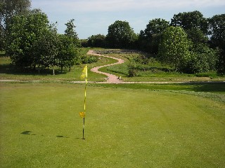 UK course revitalises greens  
