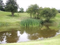 Environment top concern at Fairfield