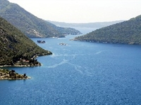 Montenegro to develop golf strategy 
