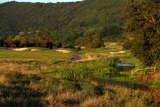 Ryder Cup going green 