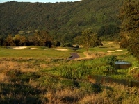 Ryder Cup going green 