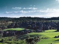 China's Stone Forest now open