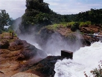 Golf in Ugandan national park?