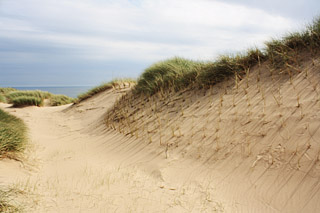 Trump: no CPOs at Menie  