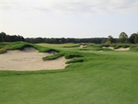 Rapid success for new Dutch course