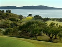 October bow for Navarino course