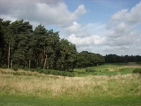 Rescue aids fescue at Bearwood