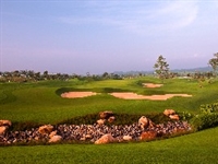 Vietnam's Twin Doves opens