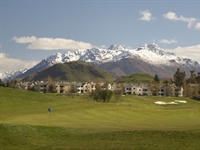 Biodiversity gains at NZ resort