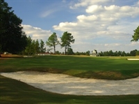 Bermuda greens for Pinehurst No. 1