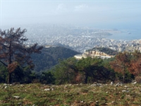 New Swan design in Lebanon