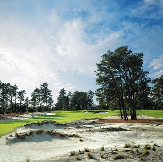 pinehurst greens convert