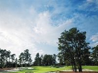 Pinehurst to convert No. 2 greens
