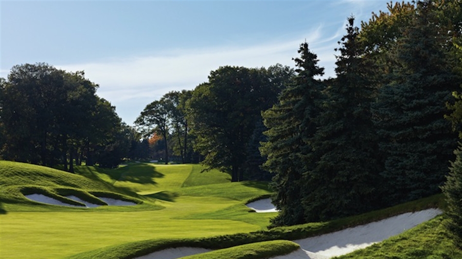 Doak and Andrew to consult at Thompson’s St George’s