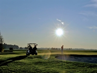 Renovation aims to make Swedish course a multifunctional facility