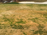 Markland Wood Golf Club nears full recovery from flood and storm damage 