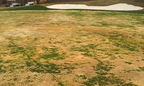 Markland Wood Golf Club nears full recovery from flood and storm damage 
