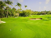 Pure Dynasty turfgrass now available on the global market