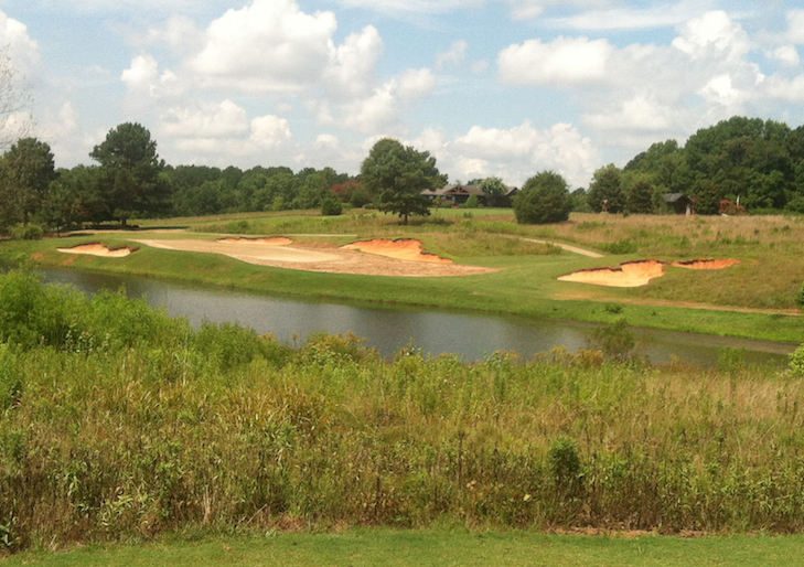 Cuscowilla joins southern US march to ultradwarf bermuda greens