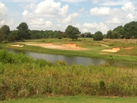 Cuscowilla joins southern US march to ultradwarf bermuda greens