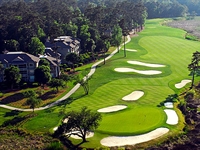 Kris Spence Golf Design completes greens project at Tidewater Golf Club 