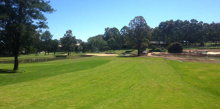 New greens part of major upgrades to North Ryde Golf Club