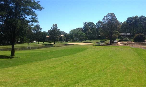 New greens part of major upgrades to North Ryde Golf Club
