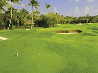 New seeded variety of seashore paspalum making an impact