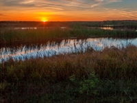 Gil Hanse to design third course at Streamsong resort