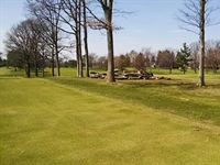 Wilczynski leads extensive tree management project at Warwick Hills