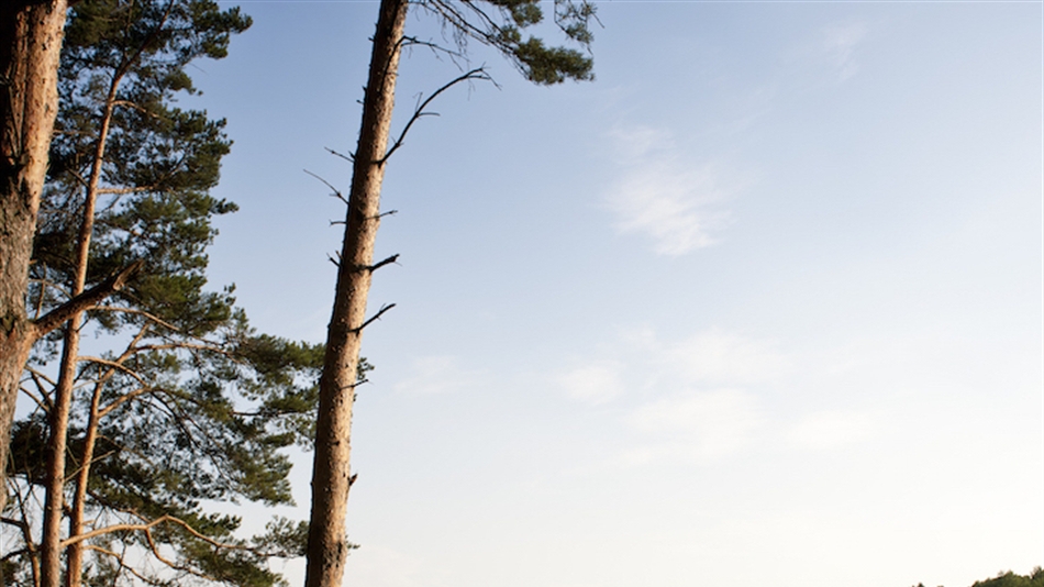 Lundin and Stenson partner to form new Swedish-based design firm