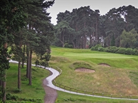 Frank Pont to oversee restoration of Camberley Heath Golf Club course	