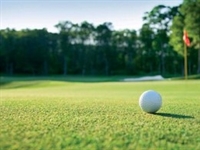 The value of golf