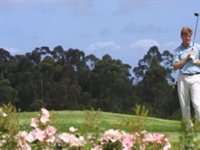 The Player: Ernie Els
