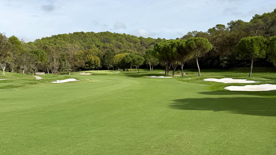 Golf de Cannes Mougins Reyes Tahoma 31 regrassing renovation