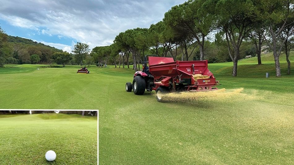 Golf de Cannes Mougins Reyes Tahoma 31 regrassing renovation