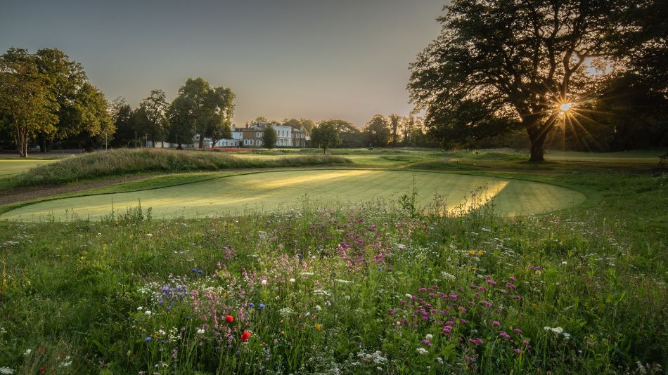 Effingham Edwards Golf