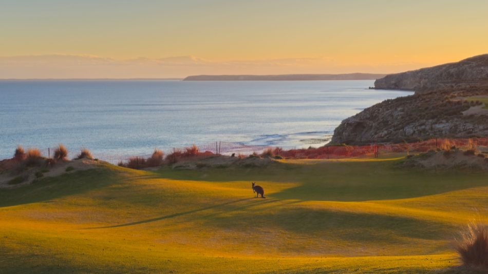 The Cliffs Kangaroo Island Golf Course Atkins Olviver
