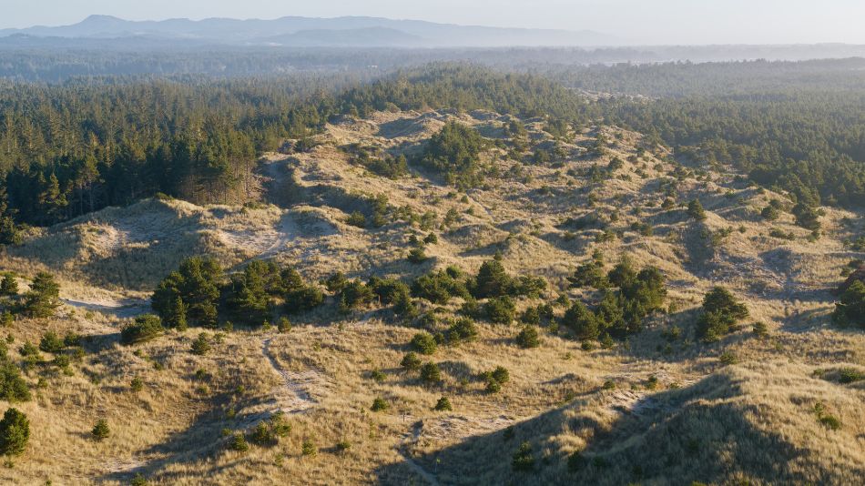 Bandon Short Course