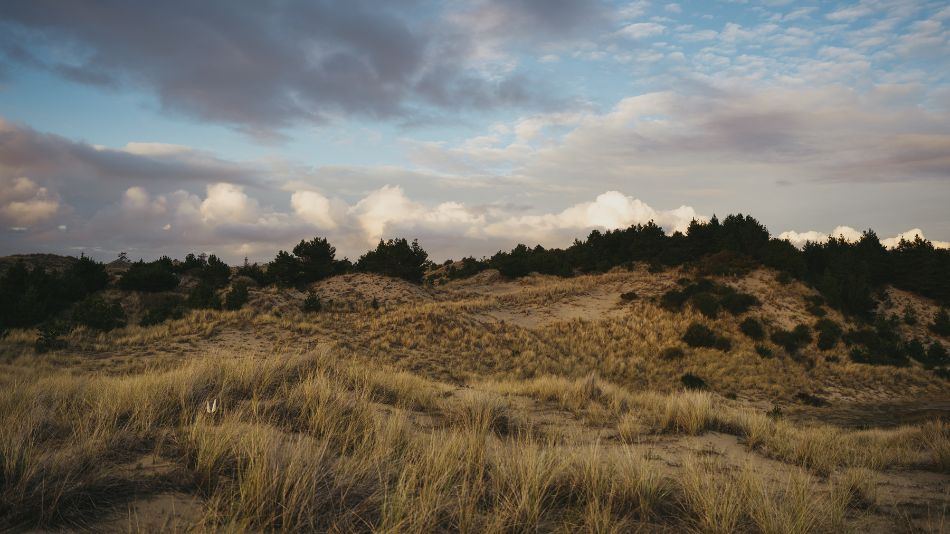 Bandon Short Course